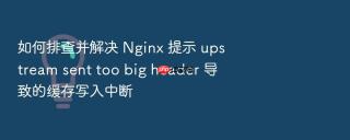 如何排查并解决 Nginx 提示 upstream sent too big header 导致的缓存写入中断