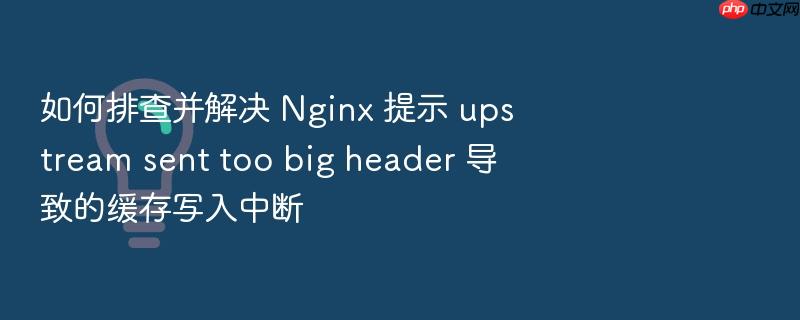 如何排查并解决 nginx 提示 upstream sent too big header 导致的缓存写入中断
