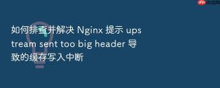 如何排查并解决 nginx 提示 upstream sent too big header 导致的缓存写入中断