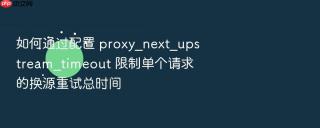 如何通过配置 proxy_next_upstream_timeout 限制单个请求的换源重试总时间