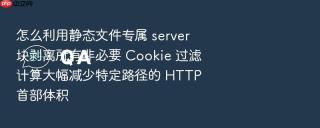 怎么利用静态文件专属 server 块剥离所有非必要 cookie 过滤计算大幅减少特定路径的 http 首部体积