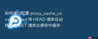 如何通过配置 proxy_cache_convert_head 将 HEAD 请求自动转换为 GET 请求以便命中缓存