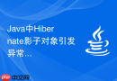 Java中Hibernate影子对象引发异常链断裂的排查实战