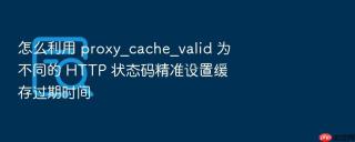怎么利用 proxy_cache_valid 为不同的 HTTP 状态码精准设置缓存过期时间