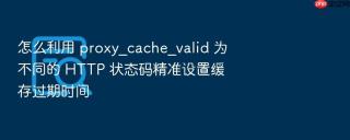 怎么利用 proxy_cache_valid 为不同的 http 状态码精准设置缓存过期时间