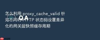 怎么利用 proxy_cache_valid 针对不同的 HTTP 状态码设置差异化的网关层快照缓存周期