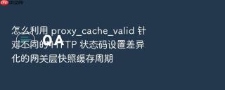 怎么利用 proxy_cache_valid 针对不同的 http 状态码设置差异化的网关层快照缓存周期