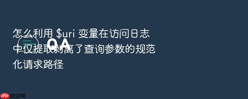 怎么利用 $uri 变量在访问日志中仅提取剥离了查询参数的规范化请求路径
