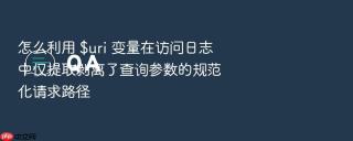 怎么利用 $uri 变量在访问日志中仅提取剥离了查询参数的规范化请求路径