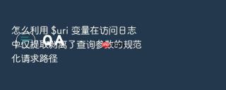 怎么利用 $uri 变量在访问日志中仅提取剥离了查询参数的规范化请求路径