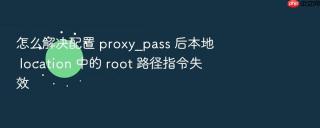 怎么解决配置 proxy_pass 后本地 location 中的 root 路径指令失效