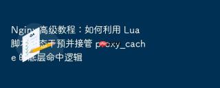 Nginx 高级教程：如何利用 Lua 脚本动态干预并接管 proxy_cache 的底层命中逻辑