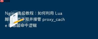 nginx 高级教程:如何利用 lua 脚本动态干预并接管 proxy_cache 的底层命中逻辑