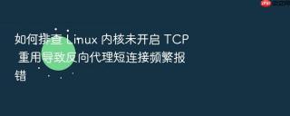 如何排查 linux 内核未开启 tcp 重用导致反向代理短连接频繁报错