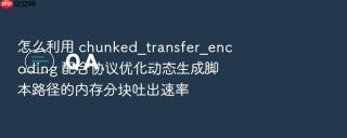 怎么利用 chunked_transfer_encoding 配合协议优化动态生成脚本路径的内存分块吐出速率