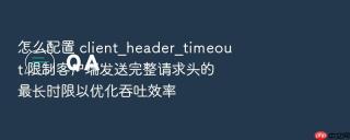 怎么配置 client_header_timeout 限制客户端发送完整请求头的最长时限以优化吞吐效率