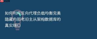 如何利用反向代理负载均衡完美隐藏内部老旧主从架构数据库的真实端口