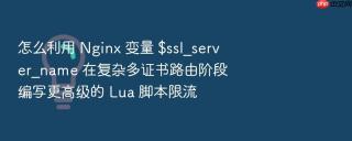 怎么利用 nginx 变量 $ssl_server_name 在复杂多证书路由阶段编写更高级的 lua 脚本限流