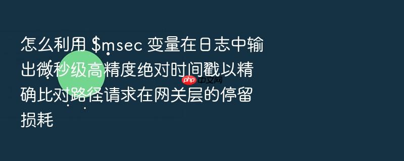 怎么利用 $msec 变量在日志中输出微秒级高精度绝对时间戳以精确比对路径请求在网关层的停留损耗
