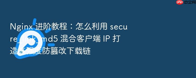 nginx 进阶教程:怎么利用 secure_link_md5 混合客户端 ip 打造高强度防篡改下载链