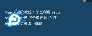 nginx 进阶教程：怎么利用 secure_link_md5 混合客户端 ip 打造高强度防篡改下载链