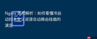 Nginx 原理解析：如何看懂冷启动时未定义资源自动路由挂载的演变