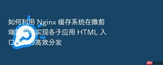 如何利用 nginx 缓存系统在微前端架构中实现各子应用 html 入口文件的高效分发