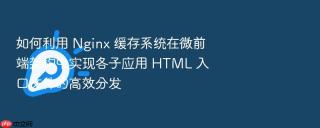 如何利用 Nginx 缓存系统在微前端架构中实现各子应用 HTML 入口文件的高效分发