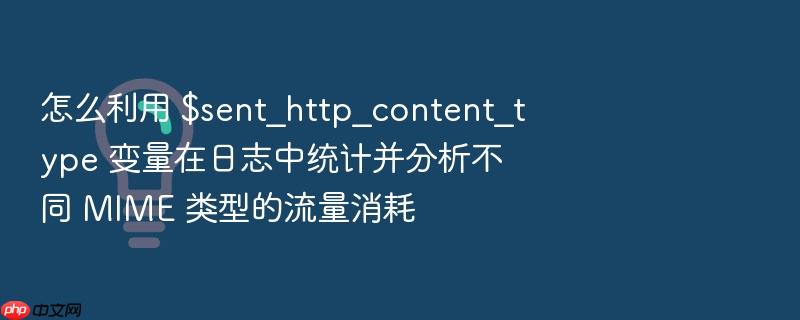 怎么利用 $sent_http_content_type 变量在日志中统计并分析不同 mime 类型的流量消耗