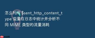 怎么利用 $sent_http_content_type 变量在日志中统计并分析不同 mime 类型的流量消耗