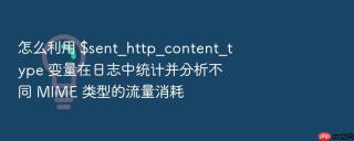 怎么利用 $sent_http_content_type 变量在日志中统计并分析不同 MIME 类型的流量消耗