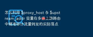 怎么利用 $proxy_host 与 $upstream_addr 变量在多级上游路由中精准审计流量转发的实际落点