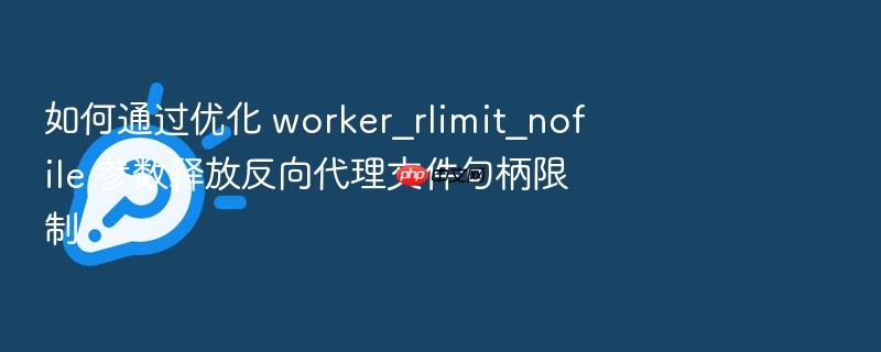 如何通过优化 worker_rlimit_nofile 参数释放反向代理文件句柄限制