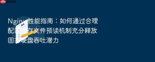 nginx 性能指南:如何通过合理配置缓存文件预读机制充分释放固态硬盘吞吐潜力