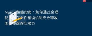 Nginx 性能指南：如何通过合理配置缓存文件预读机制充分释放固态硬盘吞吐潜力