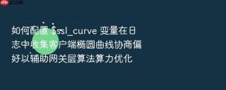 如何配置 $ssl_curve 变量在日志中收集客户端椭圆曲线协商偏好以辅助网关层算法算力优化