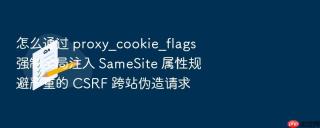 怎么通过 proxy_cookie_flags 强制全局注入 samesite 属性规避严重的 csrf 跨站伪造请求