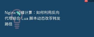nginx 边缘计算:如何利用反向代理结合 lua 脚本动态改写转发路径