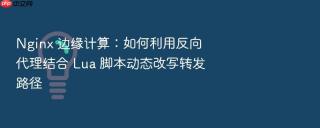 Nginx 边缘计算：如何利用反向代理结合 Lua 脚本动态改写转发路径