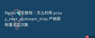 Nginx 容灾教程：怎么利用 proxy_next_upstream_tries 严格限制重试总次数