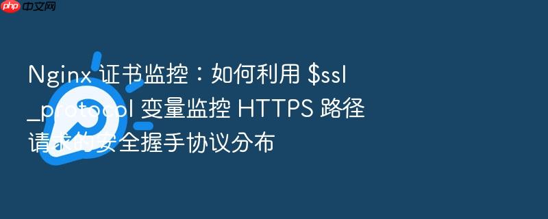 nginx 证书监控:如何利用 $ssl_protocol 变量监控 https 路径请求的安全握手协议分布