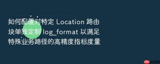 如何配置对特定 location 路由块单独定制 log_format 以满足特殊业务路径的高精度指标度量