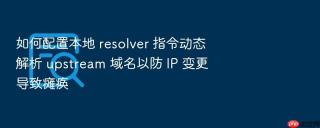 如何配置本地 resolver 指令动态解析 upstream 域名以防 ip 变更导致瘫痪