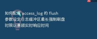 如何配置 access_log 的 flush 参数设定日志缓冲区最长强制刷盘时限以兼顾实时响应时间