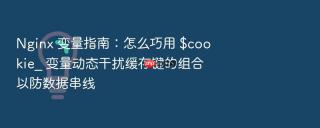 Nginx 变量指南：怎么巧用 $cookie_ 变量动态干扰缓存键的组合以防数据串线