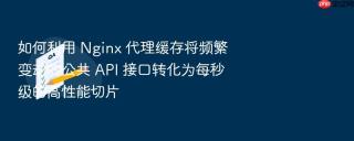 如何利用 Nginx 代理缓存将频繁变动的公共 API 接口转化为每秒级的高性能切片
