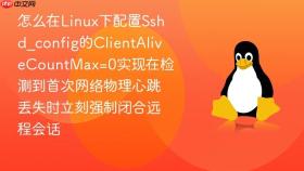 怎么在linux下配置sshd_config的clientalivecountmax=0实现在检测到首次网络物理心跳丢失时立刻强制闭合远程会话