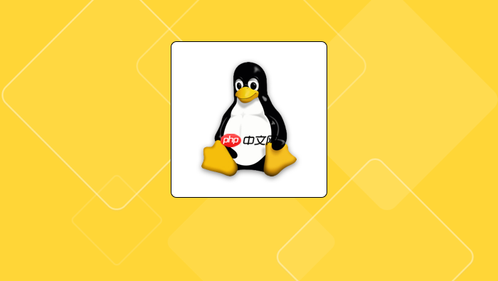 linux权限模型:理解suid在编译器中的作用