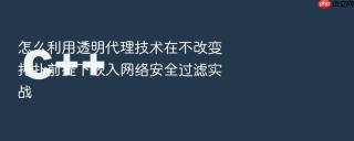 怎么利用透明代理技术在不改变拓扑前提下嵌入网络安全过滤实战
