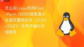 怎么在linux利用find -perm /6000深度盘点全盘双重特权位（suid+sgid）文件并输出合规报告